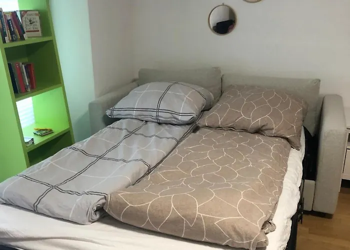 Apartament Central-quiet-5min To Tram-shopping-